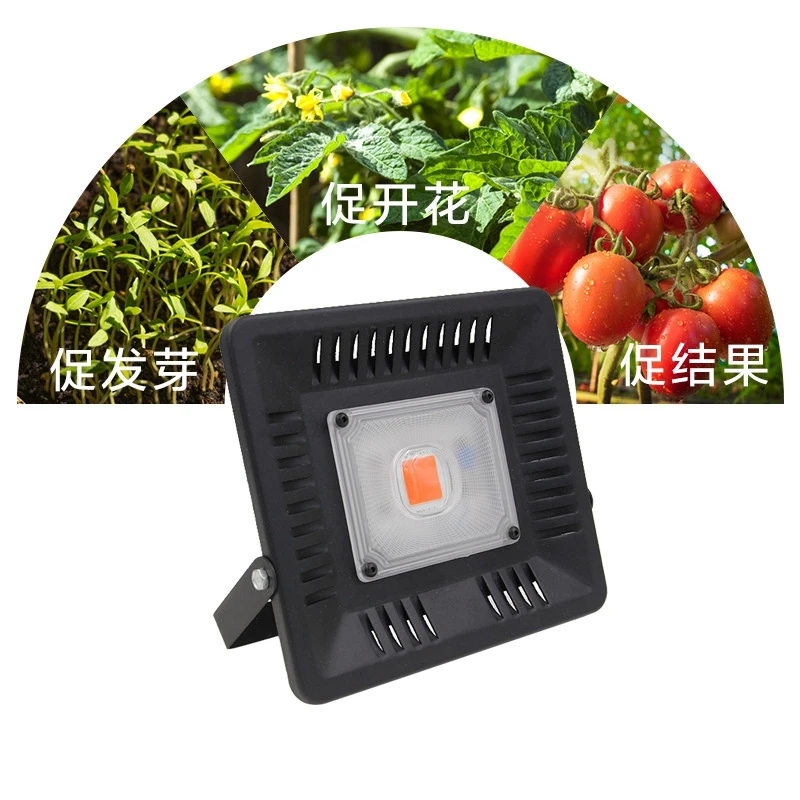 
Led cob grow light , waterproof outdoor led grow light 100w 200w 300w 