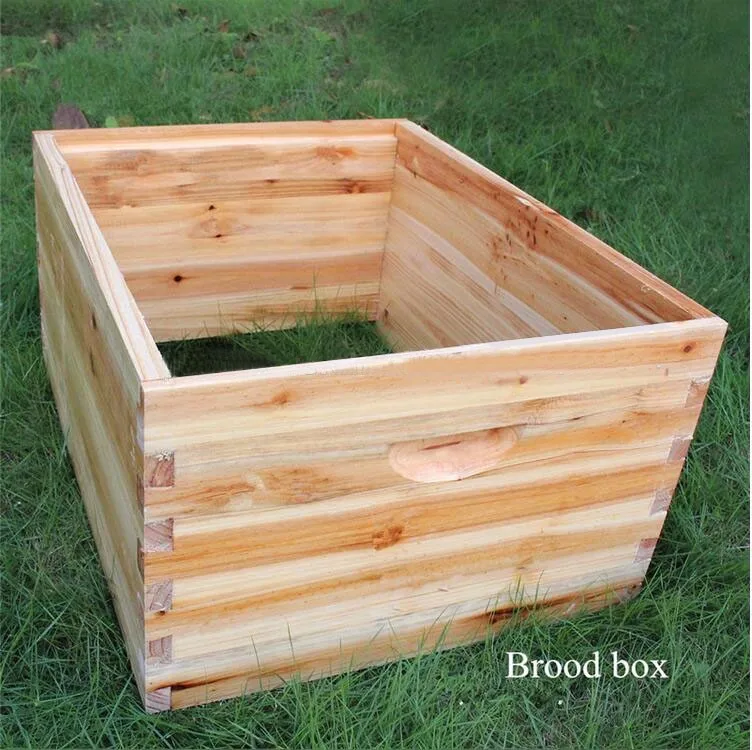 Bee hive accessories manufacturer directly supplies beehive brood box and super box for re-sellers