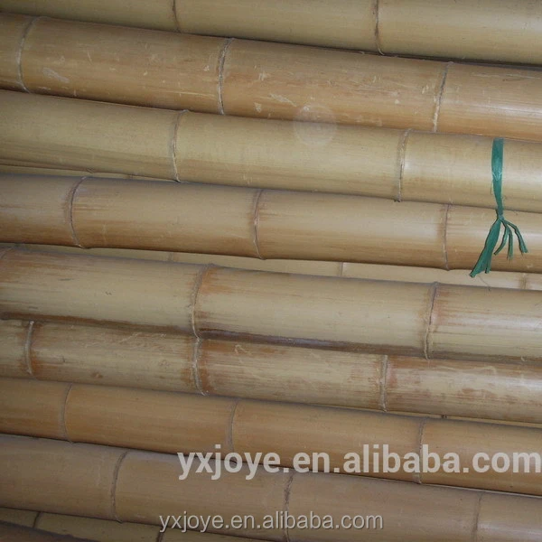 Cheap solid raw bamboo fishing pole