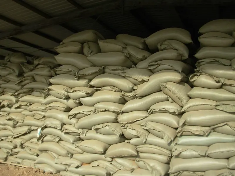 corn gluten cattle feed