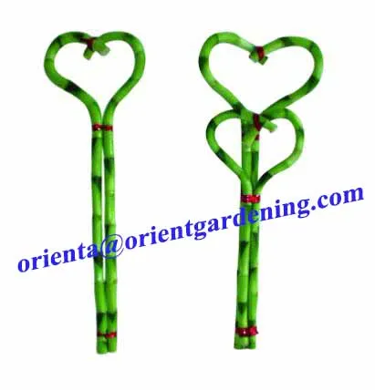 wholesales braided heart shape spiral lucky bamboo