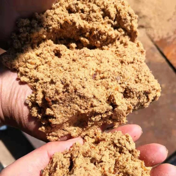 50% Protein Pork Meal From China Supplier for Feed Grade