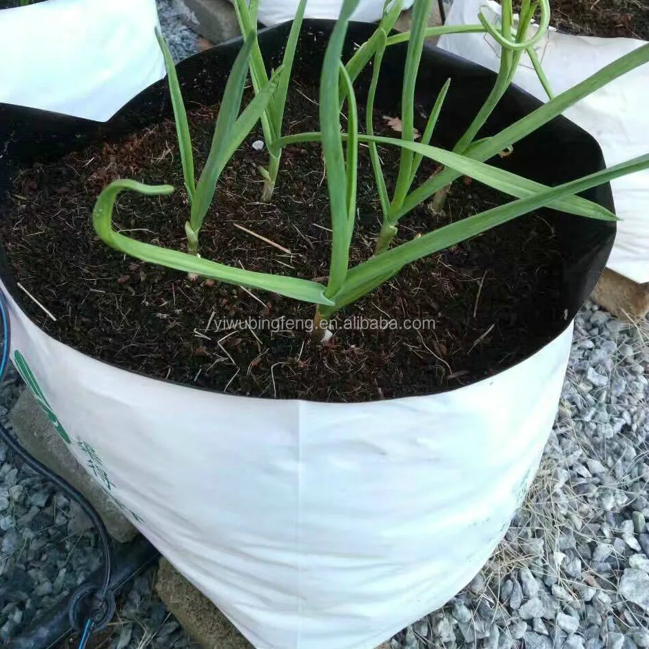 Пакеты для выращивания органических овощей