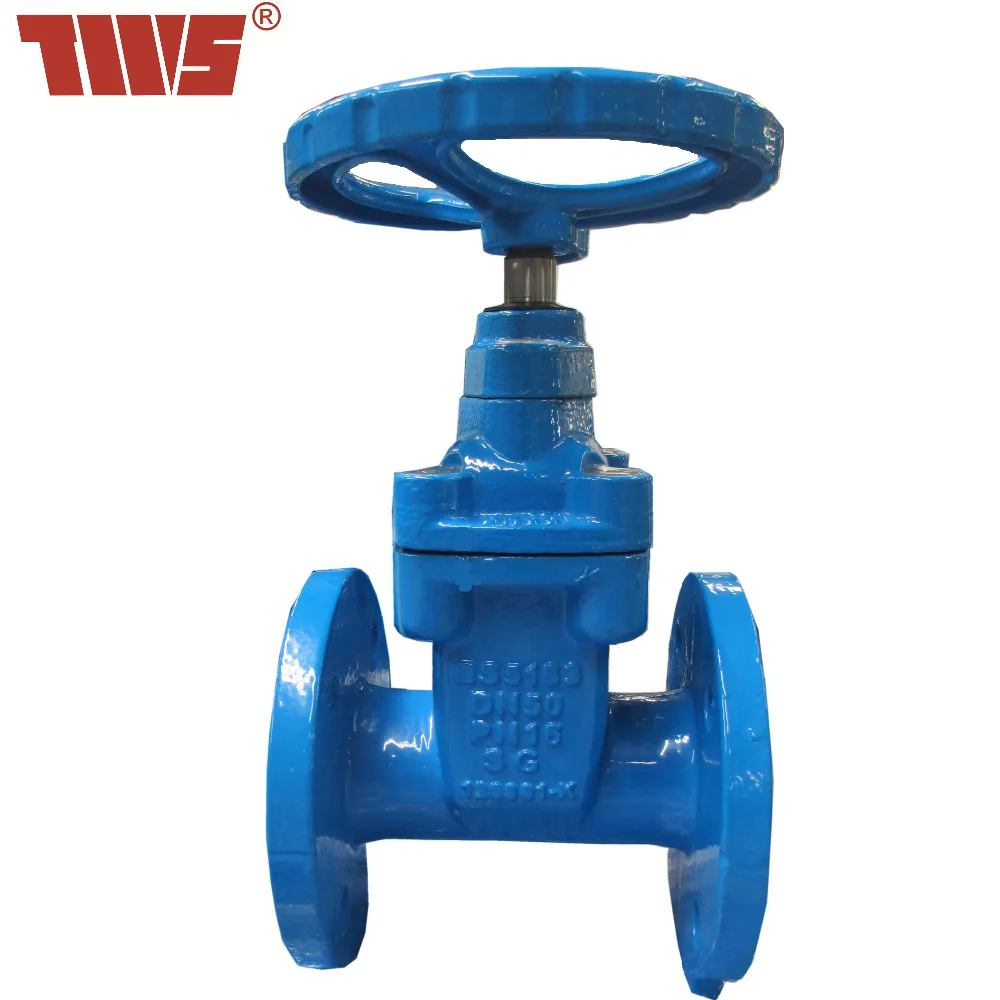 DN65-DN300 ковкого чугуна задвижки клиновые резьновые