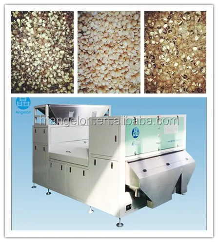 The new model macadamia nut optical  color sorter in china