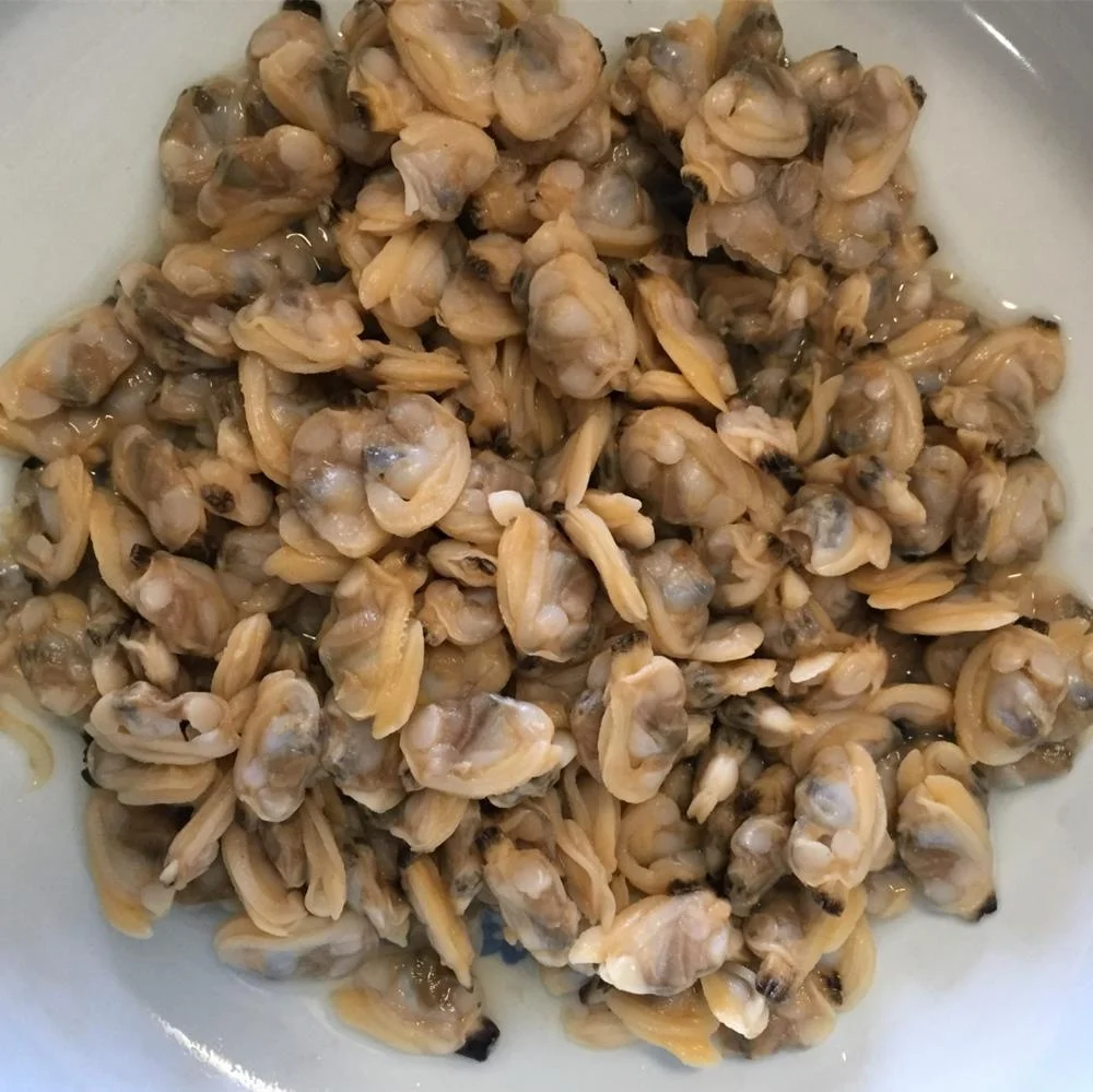 Wholesale Frozen Natural IQF Frozen Cooked Short Necked Clam Meat