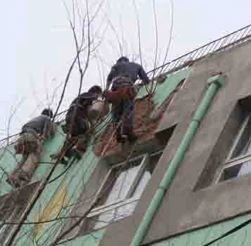 Low Price Cellulose Fiber