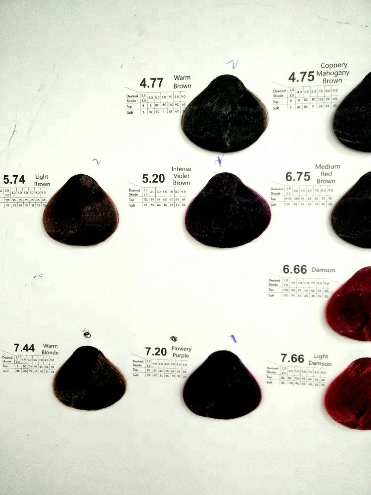 Herbal No Ammonia and No Ppd Professional Salon Hair Dye Cream /hair Color Cream Salon Use Permanent Natural Low Ammonia 100 Ml