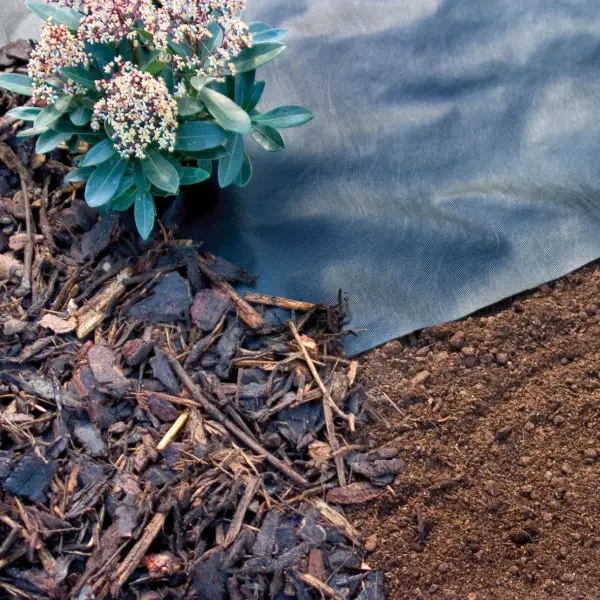 BSCI factory black pp nonwoven weed mat for garden plant