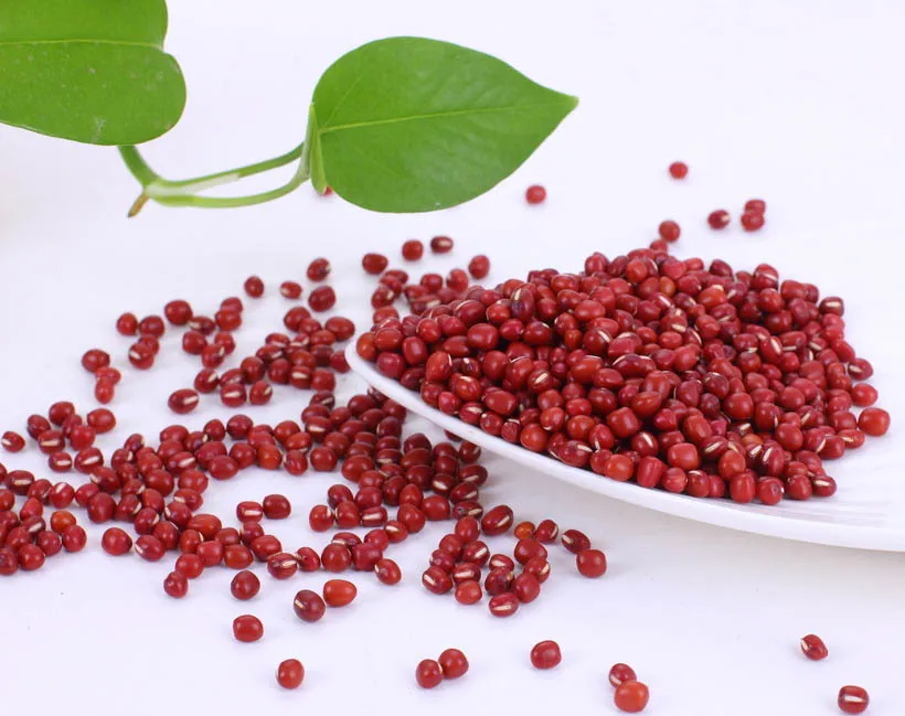 
Supply high quality lowest price red bean powder, flake and cereal powder 