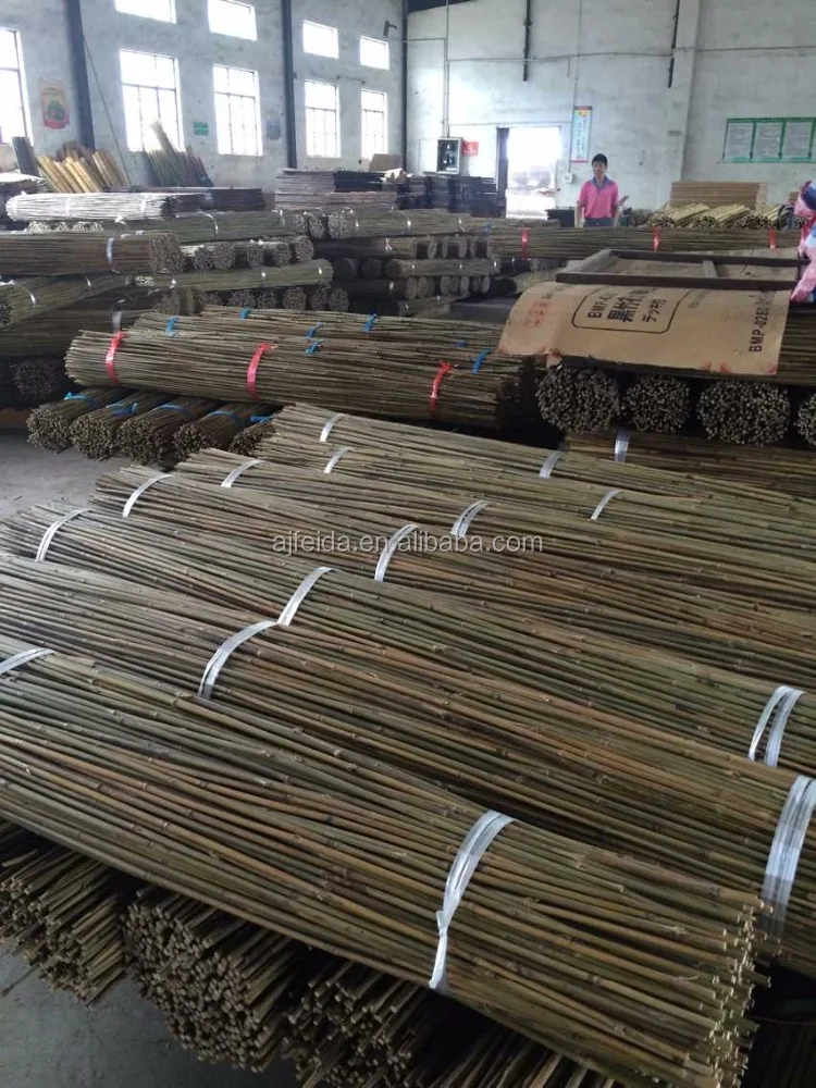 FD- tonkin bamboo canes natural bamboo stake Many specifications of small bamboo