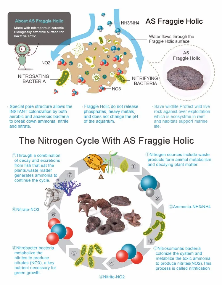 
ASFD-O/L - AS Fraggie Holic Coral Frag Disc Ceramic Base Coral Reef Frag Plug 