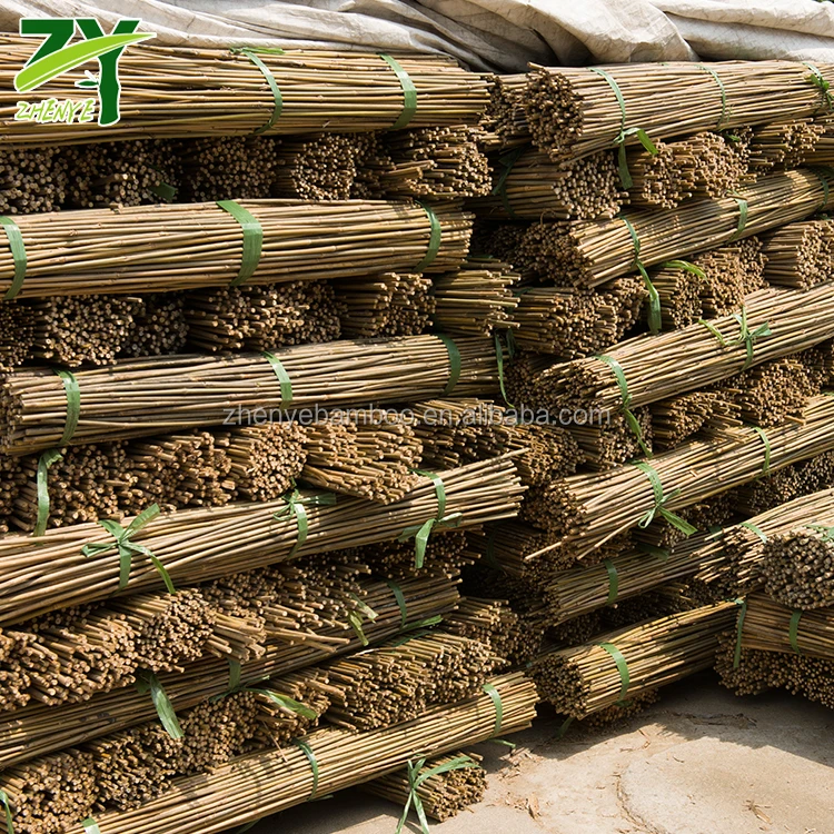 
HOT!!! ZY-1005 Bamboo Sticks Wholesale Price Bamboo Tonkin Sticks Cheap Bamboo Sticks 