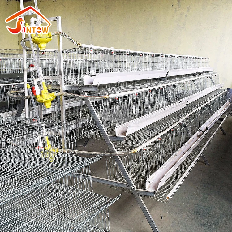 Layer Cage Assembling Tools Layer Chicken Cage For Live Chicken large scale chicken farms for bv 380 of germany