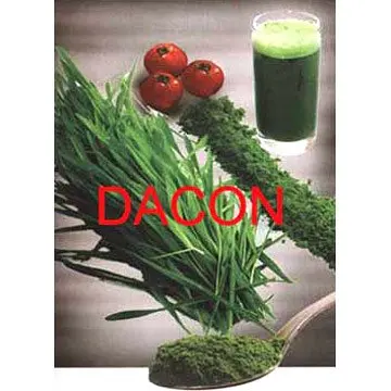 
high quality Wheat Grass Juice Powder real manufacturer 