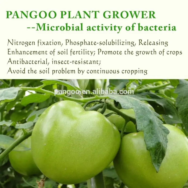 PGPB/01 PANGOO Soil Conditioner