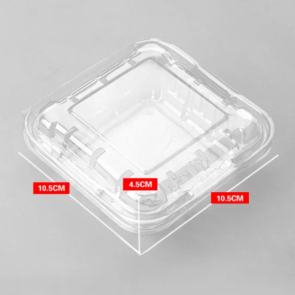 Plastic 125g Disposable Strawberry Blueberry Clamshell Packaging