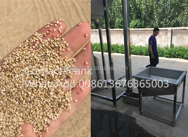 Sesame Washing Machine/Sesame Seed Washer/Sesame Cleaning Machine Price