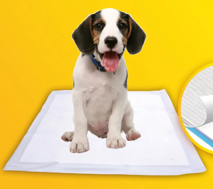 puppy training toilet pee pad A Quality Attractive Price disposable urine absorbent cat bird  training underpad