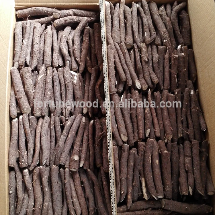 FTE paulownia корней