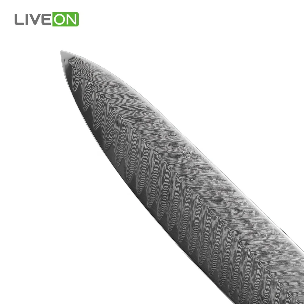 10 inch 67 Layers Damascus Steel Chef Knife