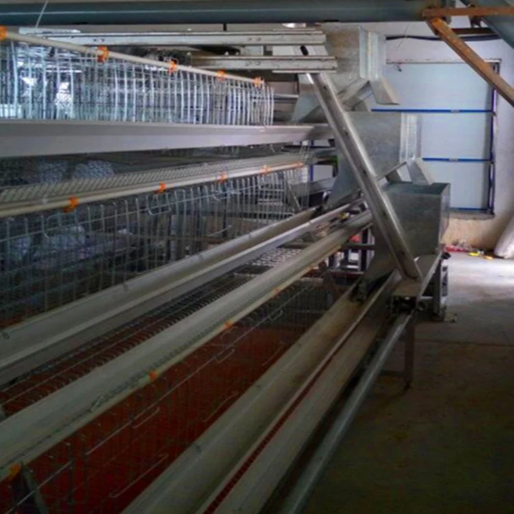 Poultry battery laying chicken cage for automatic livestock raising equipment