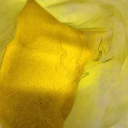 Factory provide Thioflavine T cas: 2390-54-7 with high quality Hot selling!!!