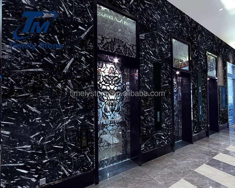 
Morocco marble rare slab black fossil marble wall 
