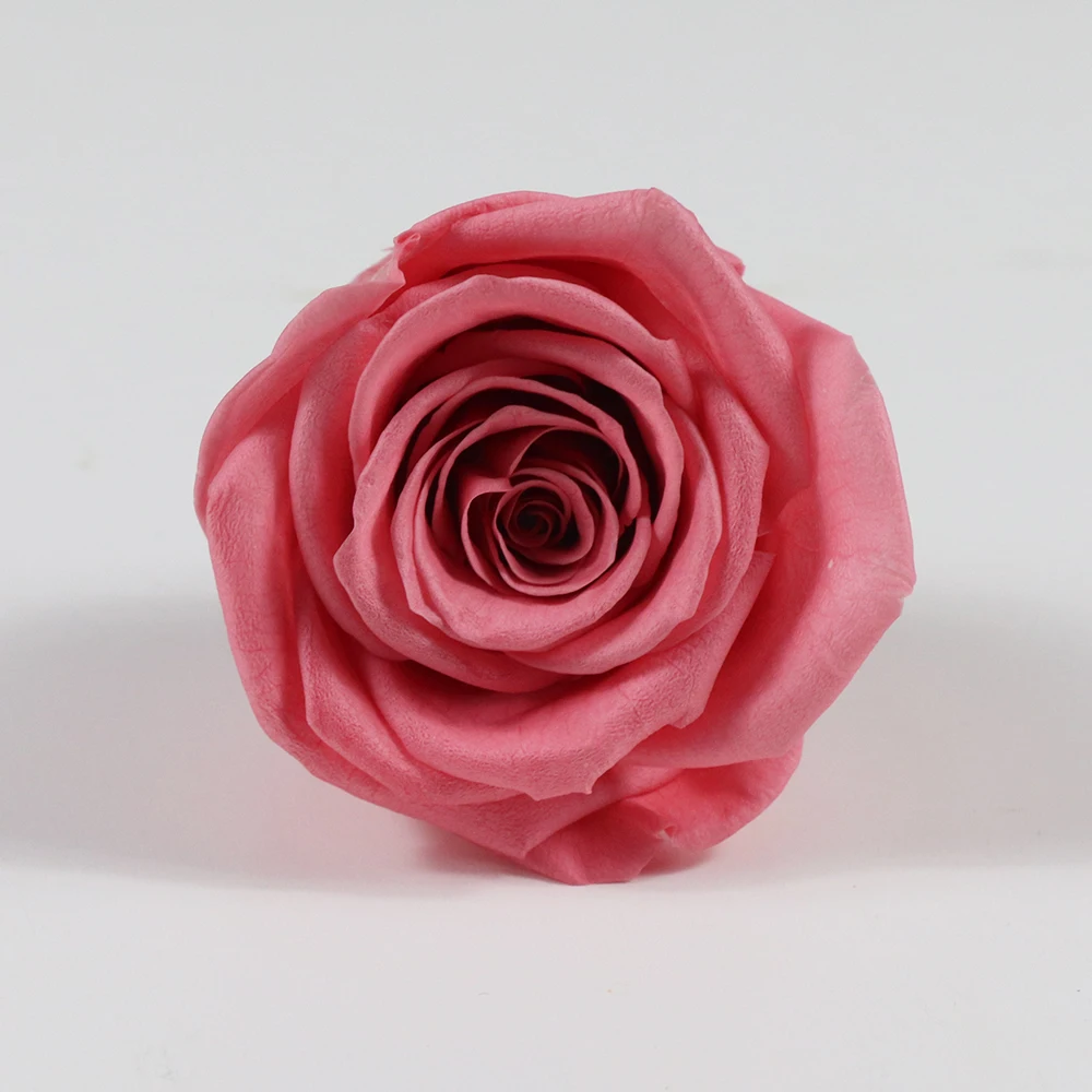 All occasions roses head preserved fresh flower rose for sale