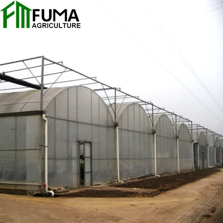 FM полная пластиковая пленка, тепличная структура для сельского хозяйства