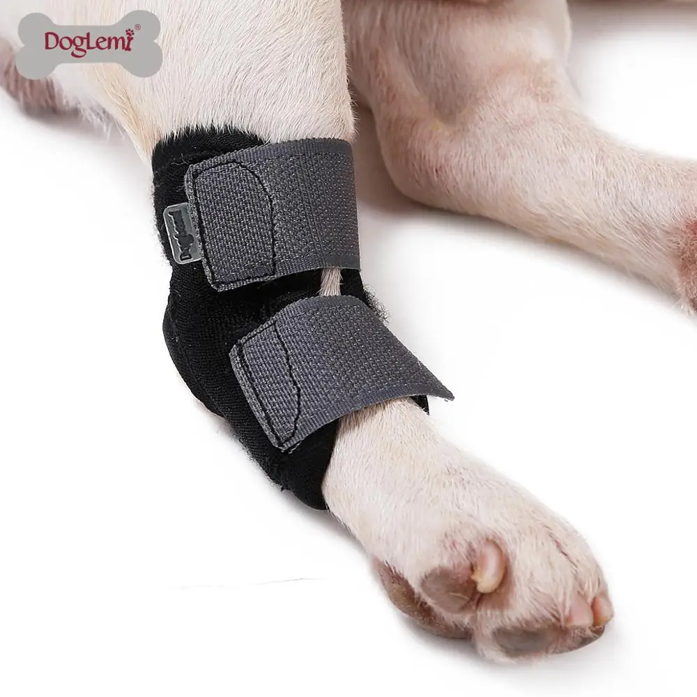Soft Brim Protect Pet Wounds Dog Knee Brace