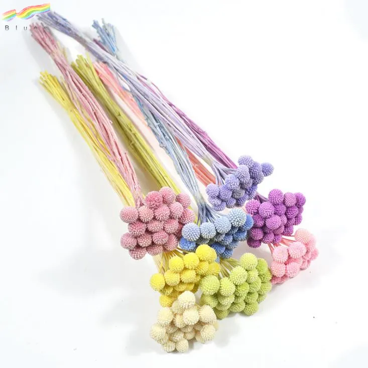 
Natural Craspedia Billy Balls Preserved Golden Ball Dried Flower for Decoration 20pcs/bag 