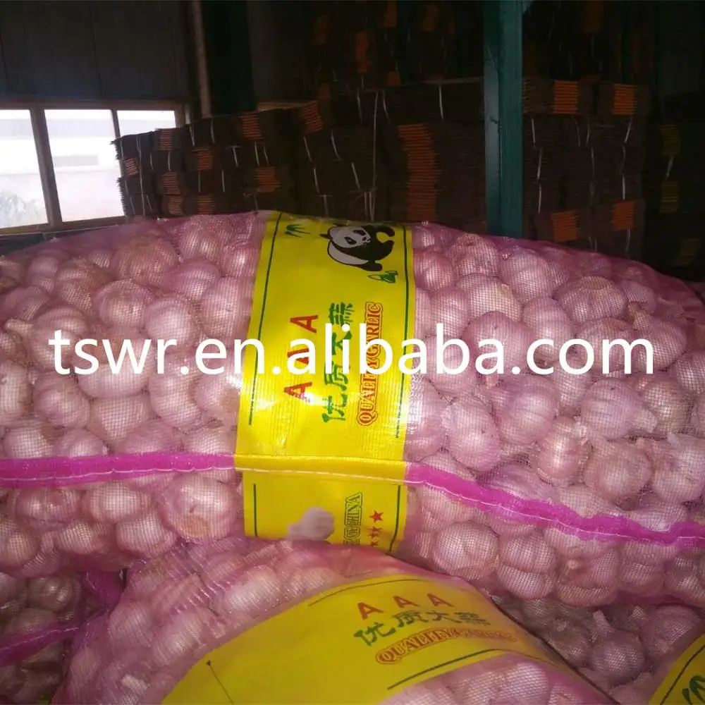 
high quality fresh gralic best price garlic white garlic 