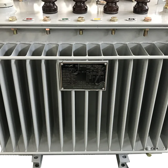 Wenzhou Manufacturers Provide 100kva Oil Type Power Transformer