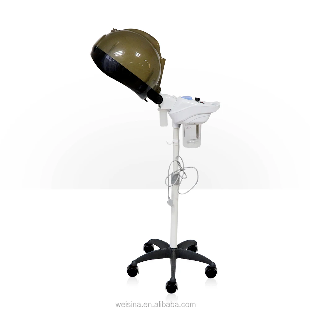 
2 In 1 O3 Hair Steamer Micro Mist Salon Hair And Face Steamer 