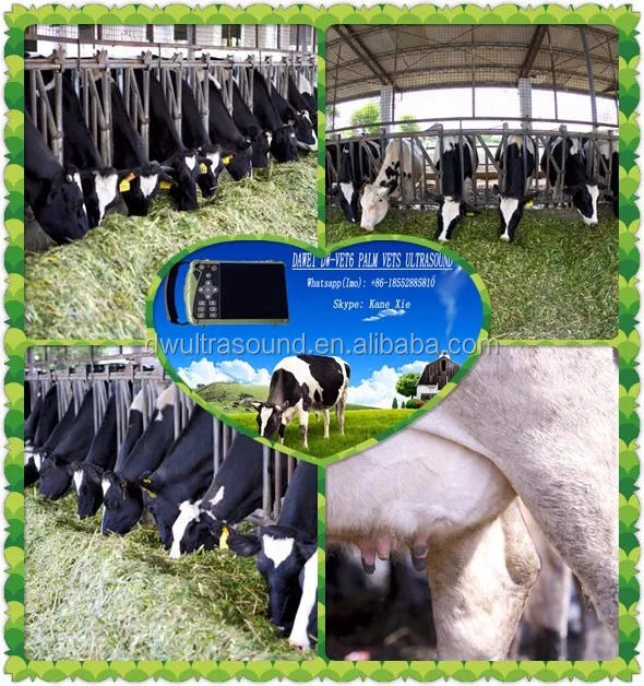 Professional equine veterinary palm ultrasound very useful in equine farm DAWEI DW-VET6