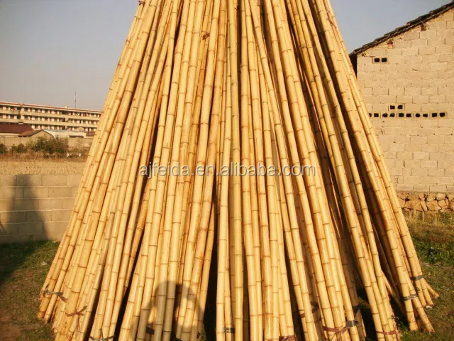 FD - 183233 Clean yellow nice looking decoration raw mao bamboo pole/ big bamboo pole