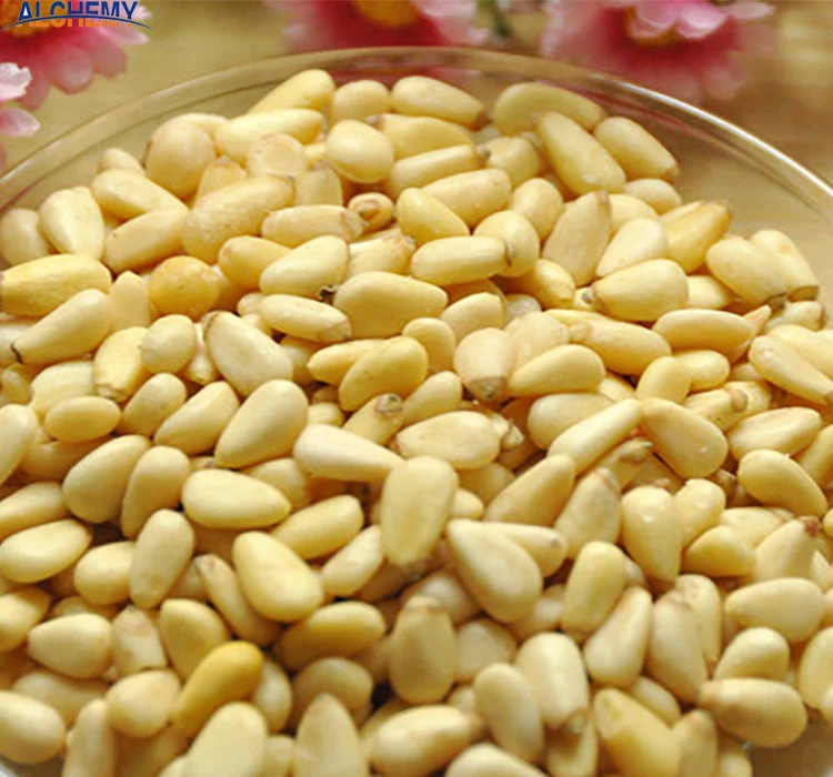 pine nuts in shell  kernels price per kg