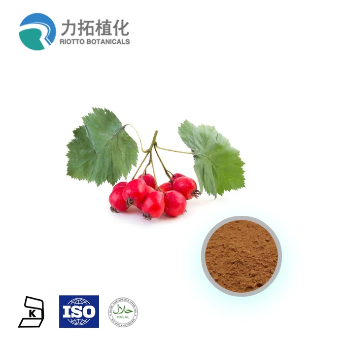 
Hot saling the Hawthorn berry extract /Hawthorn Extract /Hawthorn powder 