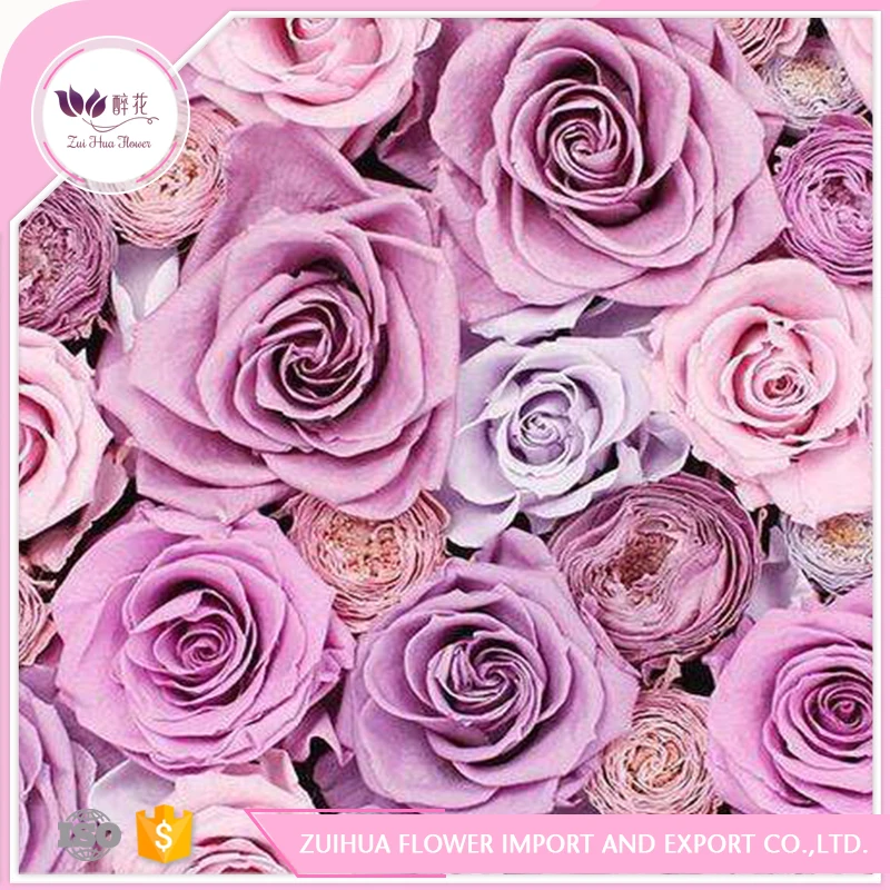 Хорошее качество свежее разрезанное цветное консервированное вечное растение розы