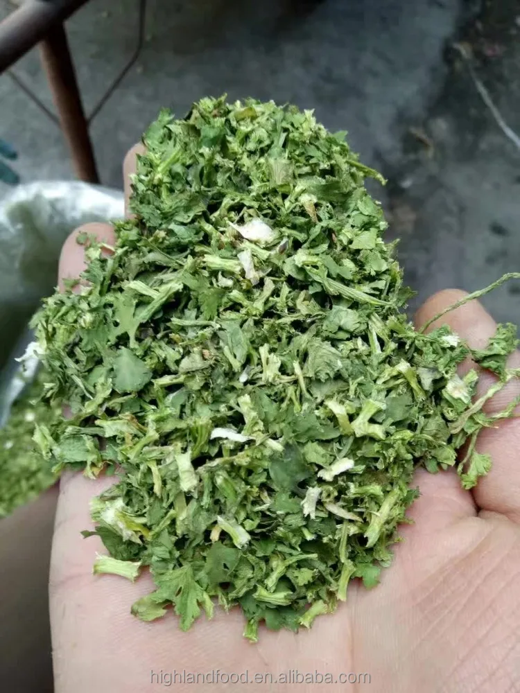 Delicious Chinese Vegetable Dried Dehydrated Parsley /coriander Leaves
