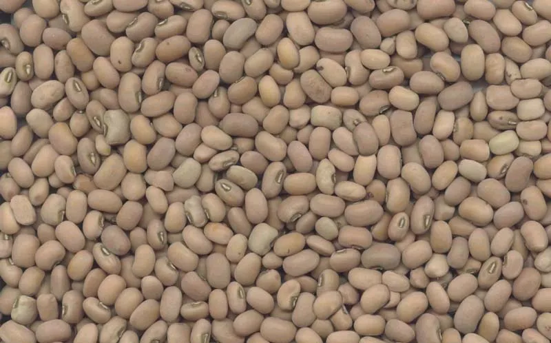Cowpeas / Black Eye Beans