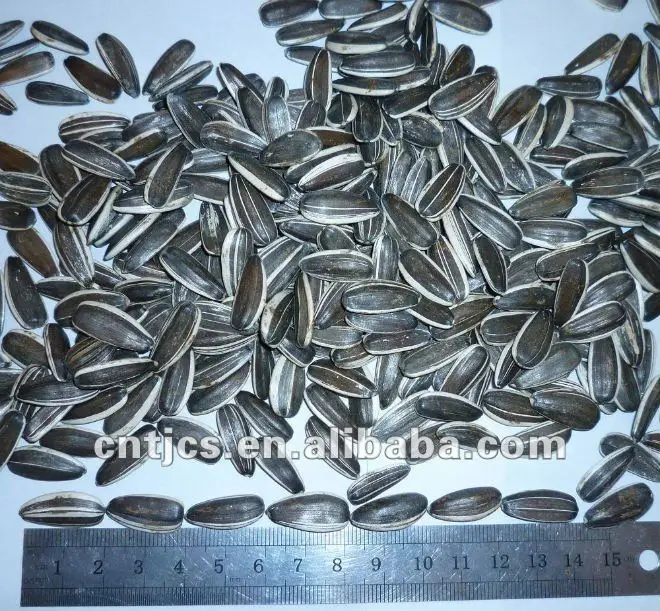 
Good quality Sunflower seeds with best price 