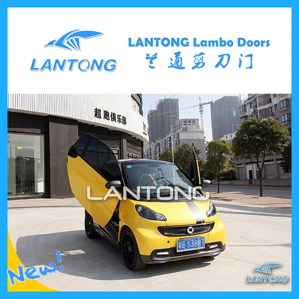 Профессиональные заводского изготовления комплект Ламбо для S-mart