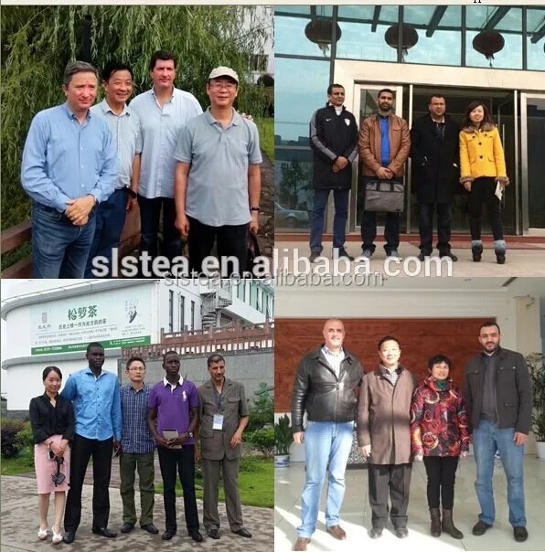 1 Кг Деревянный Ящик Пакет в течение 4011 Зеленый Чай из Китая Поставщика