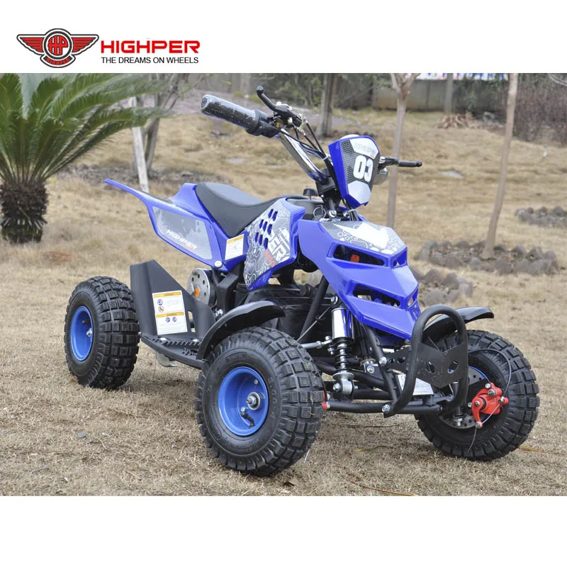 36V 800W Electric Quad with 3 Speed Limit