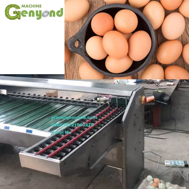 5000 pcs per hour egg grading machine used