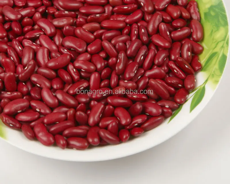 
dark red kidney bean 