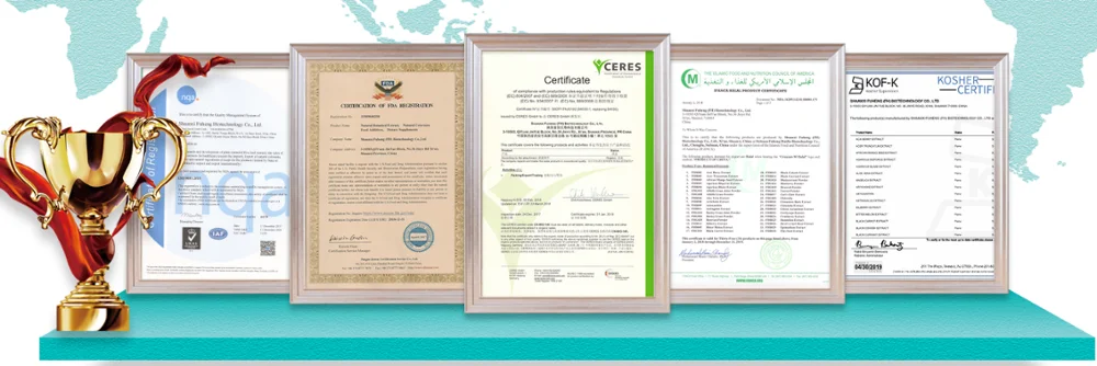 
100% Natural Pumpkin Powder 