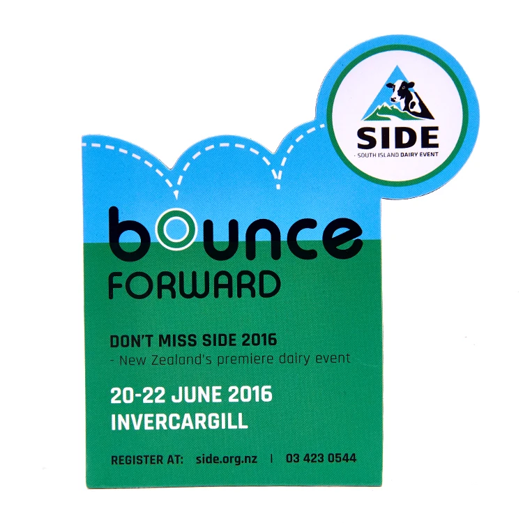  Изготовленные на заказ мягкие магниты магнитные наклейки холодильник изготовленные